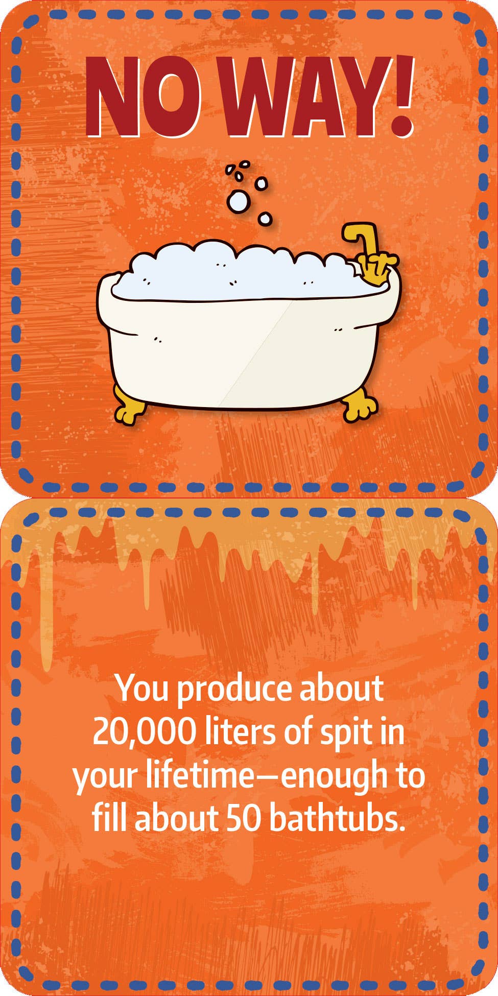Gross Facts Lunch Box Notes for Kids!