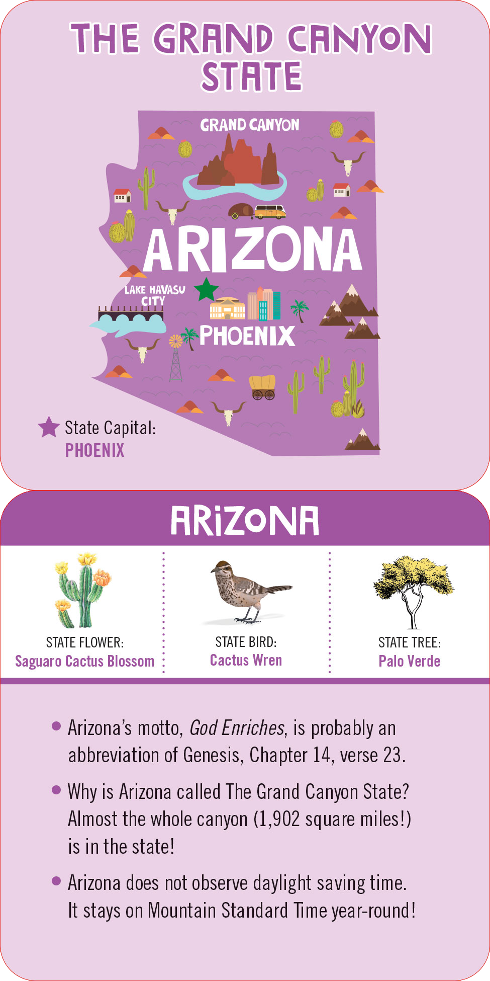 USA Lunch Box Notes for Kids! (Set of 50 Cards)