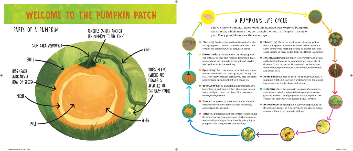 Pumpkin Seed's Secret