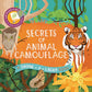 Shine-A-Light: Secrets of Animal Camouﬂage