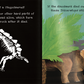 Shine-A-Light: Dinosaurs