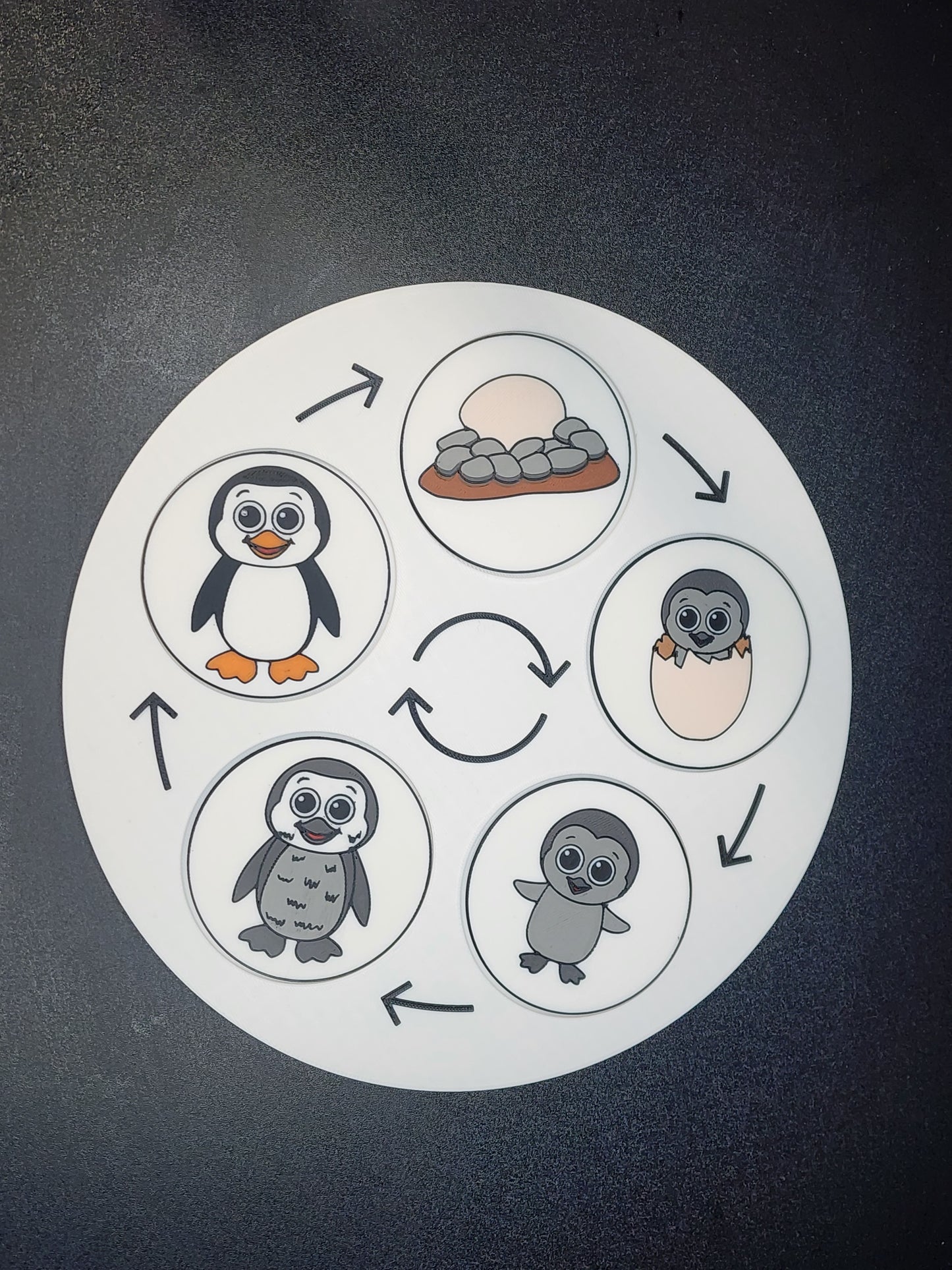 Life Cycle Puzzles