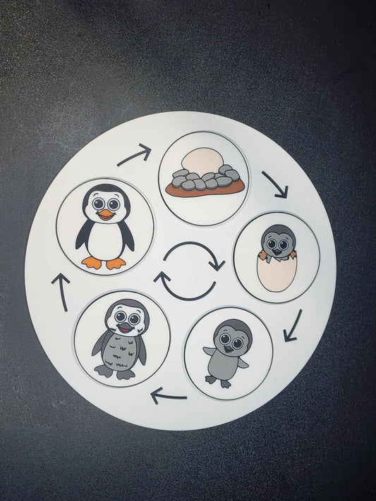 Life Cycle Puzzles