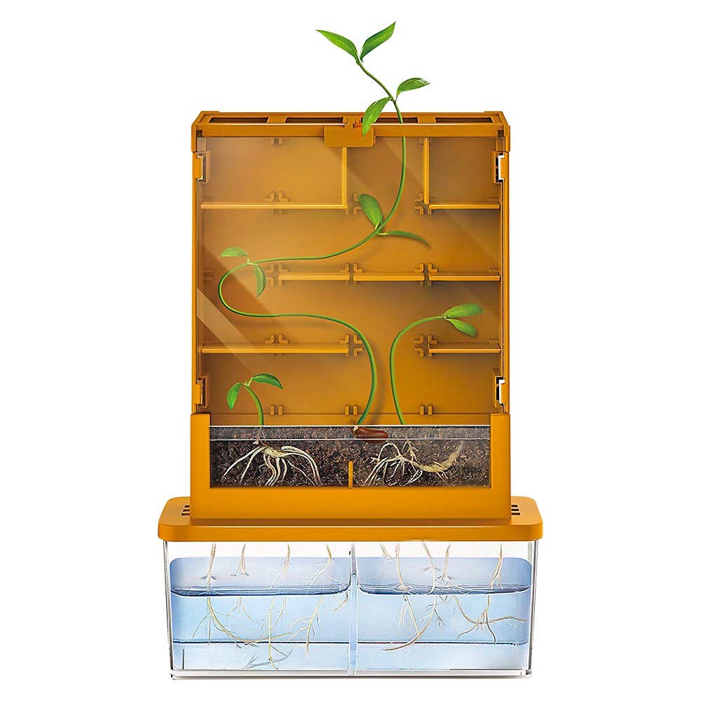 Green Science/Grow-A-Maze