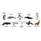 Antarctica TOOB - Figurine Toy for Kids