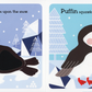 Read, Touch, Discover: Arctic Animals