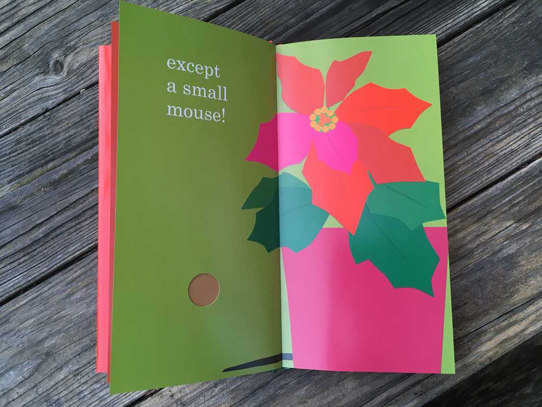 Red & Green by Lois   Ehlert