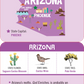 USA Lunch Box Notes for Kids! (Set of 50 Cards)