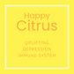 Happy Citrus Nasal Inhaler