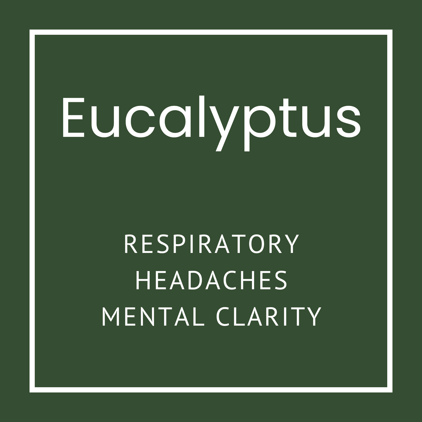 Eucalyptus Nasal Inhaler