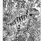 Dinosaurs Magic Painting Book : Usborne